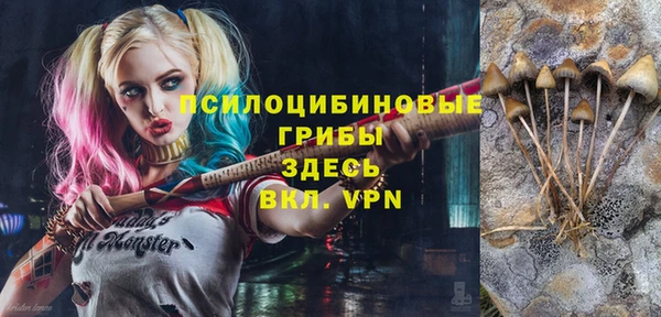 дмт Алзамай
