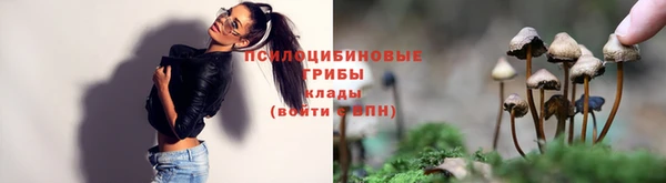 дмт Алзамай