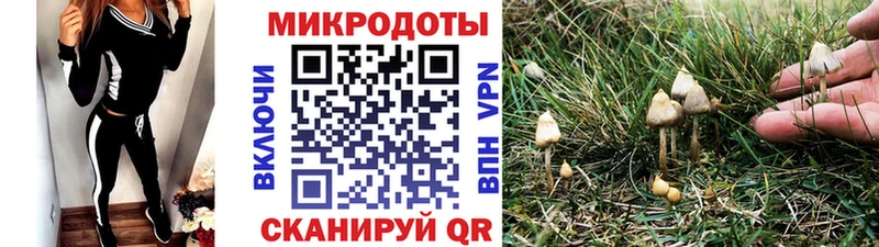 Галлюциногенные грибы мицелий  Киселёвск 
